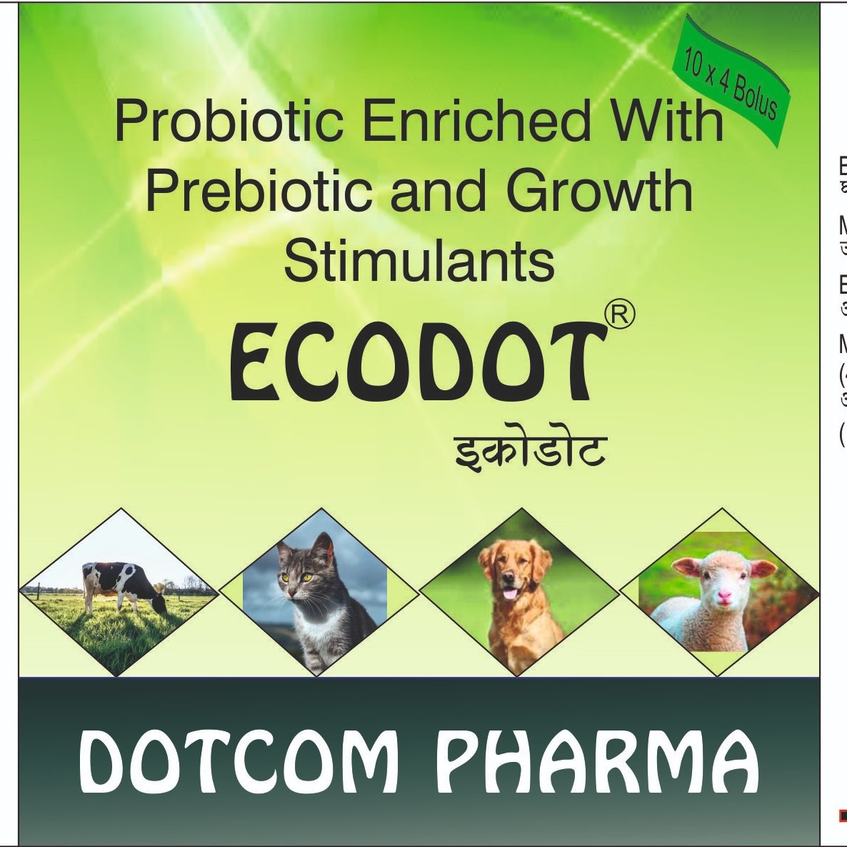 Ecodot