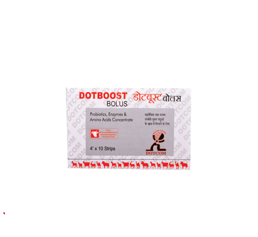 DOTBOOST