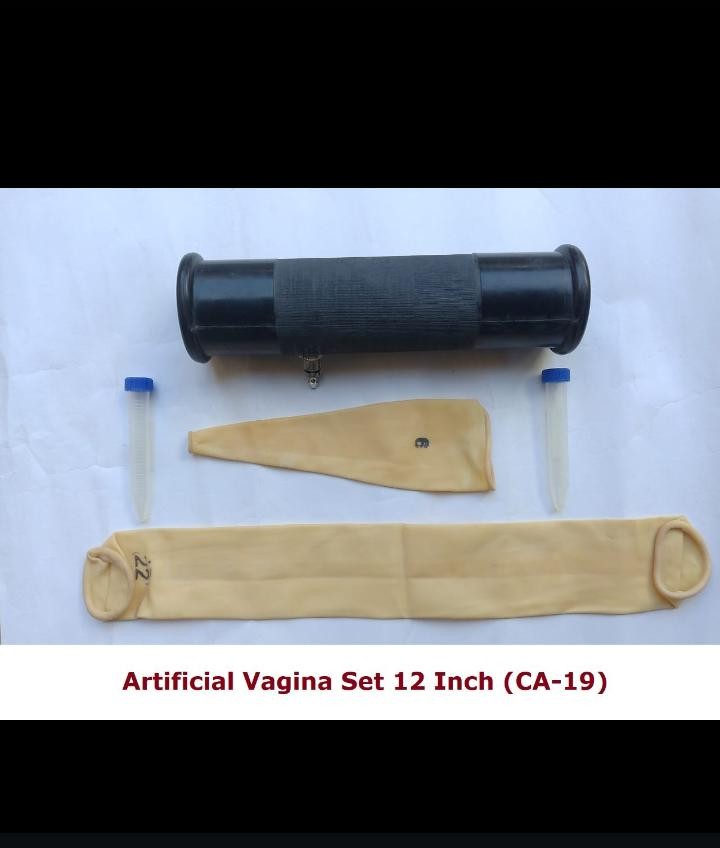 Artificial Vagina Set