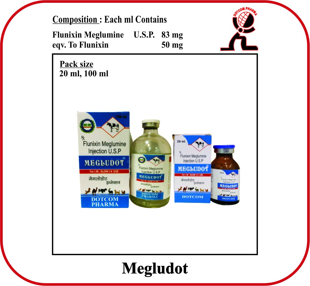 MEGLUDOT