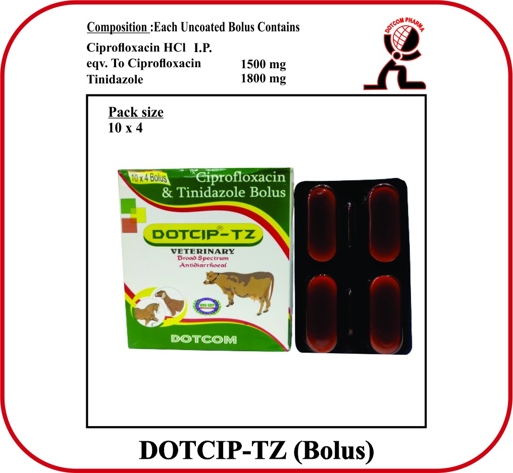 DOTCIP-TZ
