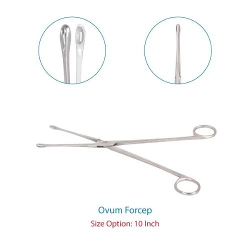 Ovum Forceps
