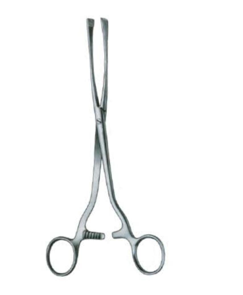 Green Armytage Forceps
